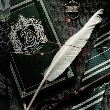 Profile image of 카리나 블랙