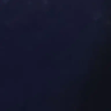 Profile image of パク・지연