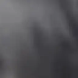 Profile image of 한지성