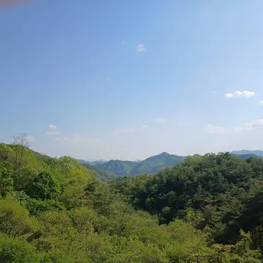 Profile image of 여우