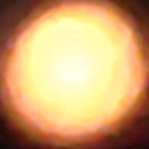 タルト