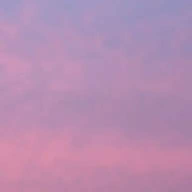 Profile image of 잠뜰