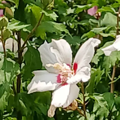 Profile image of 민또경또