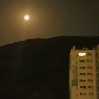 Profile image of 한 동민