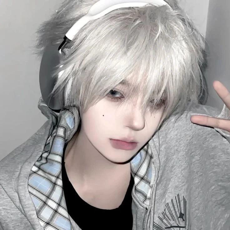강수호
