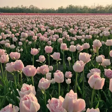 Profile image of 慶