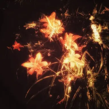 Profile image of 코마