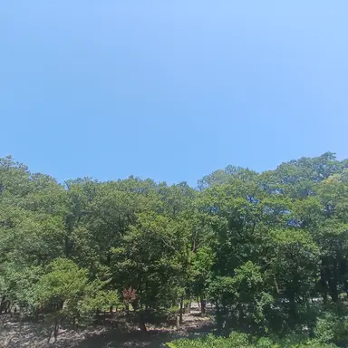 Profile image of 토키토 무이치로