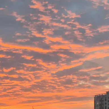 Profile image of 렌고쿠 쿄쥬로