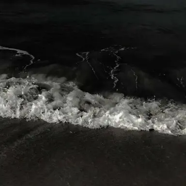 Profile image of 토미오카 기유