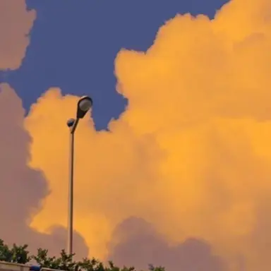 Profile image of 우즈이 텐겐