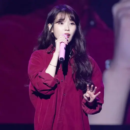 iuanuaena의 콘서트 하는 아이유