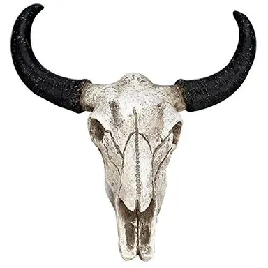 Profile image of ズシ