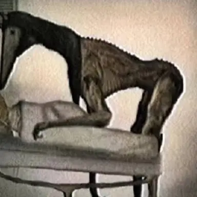 Profile image of Purgatory.