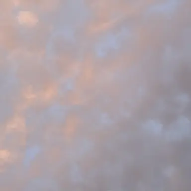 Profile image of 미수반