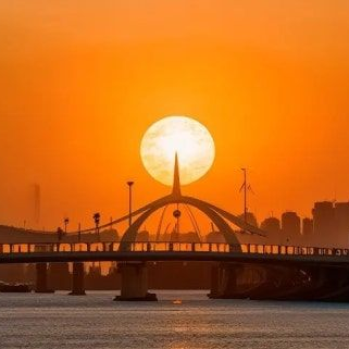 “ 저기요 저 이상한 사람 아니고-” 대표 이미지