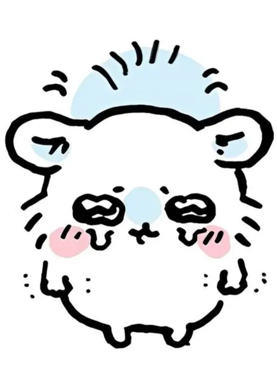 akaashi_keiji의 °•*+.·͙☽