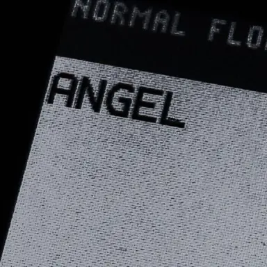 Profile image of Angel