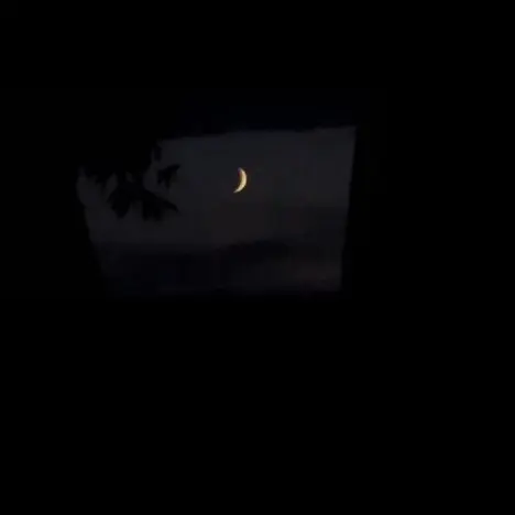 Woozi961122의 막내와 6명의 오빠들