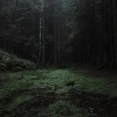 BigBone0748의 The Forest