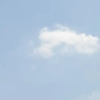 Profile image of 다크카카오쿠키