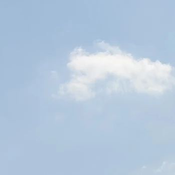 다크카카오쿠키