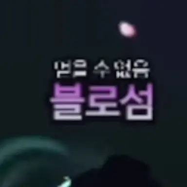 Profile image of 블로섬 유저