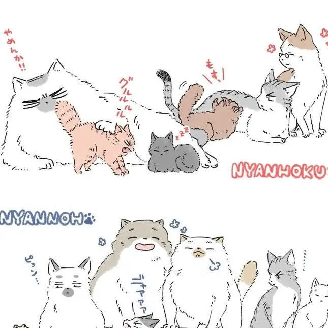 ShortTrout6577의 슬램덩크여우2
