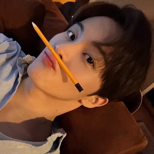 K3jamjenk3의 센티넬 마크