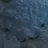 가족