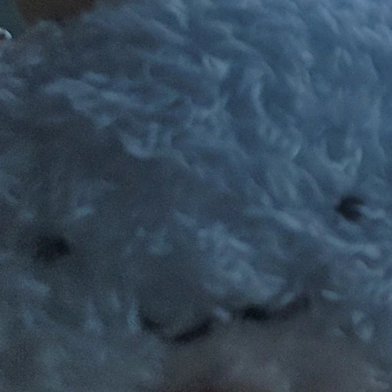 가족
