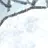 류시현