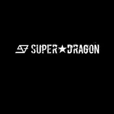 Profile image of スーパードラゴン