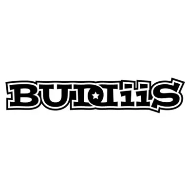 Profile image of BUDDiiS