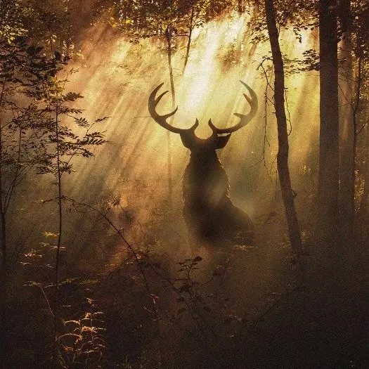 BrassyPlane0490의 The Stag Who Stayed