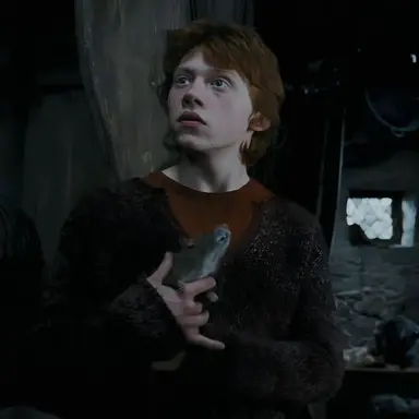 Profile image of Ron