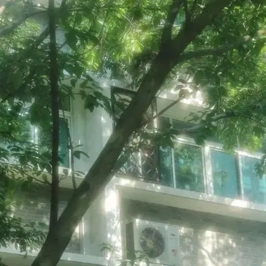 Profile image of 정공룡