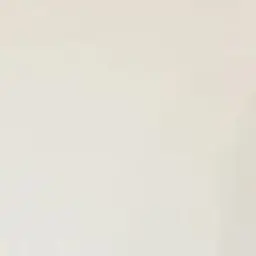 Profile image of SK B