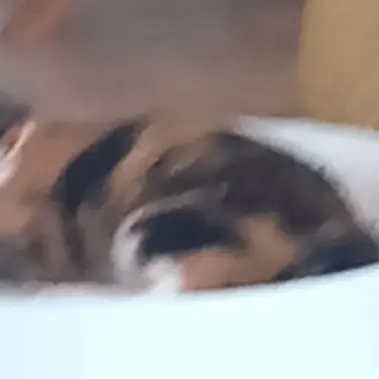 Profile image of 주현