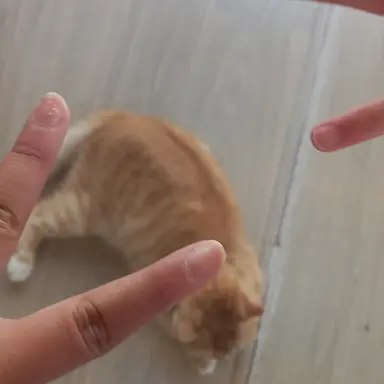 Profile image of 신승아 경장