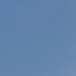 Profile image of 공경사-공룡