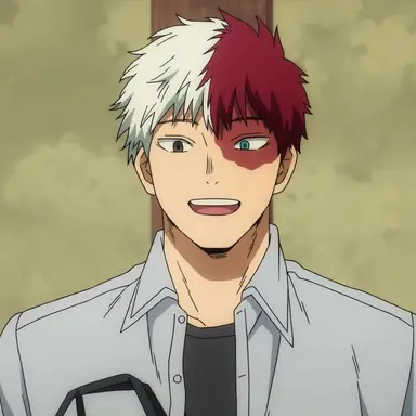 Profile image of Shoto Todoroki