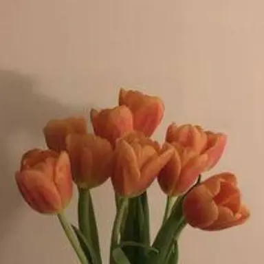 Profile image of 덕개