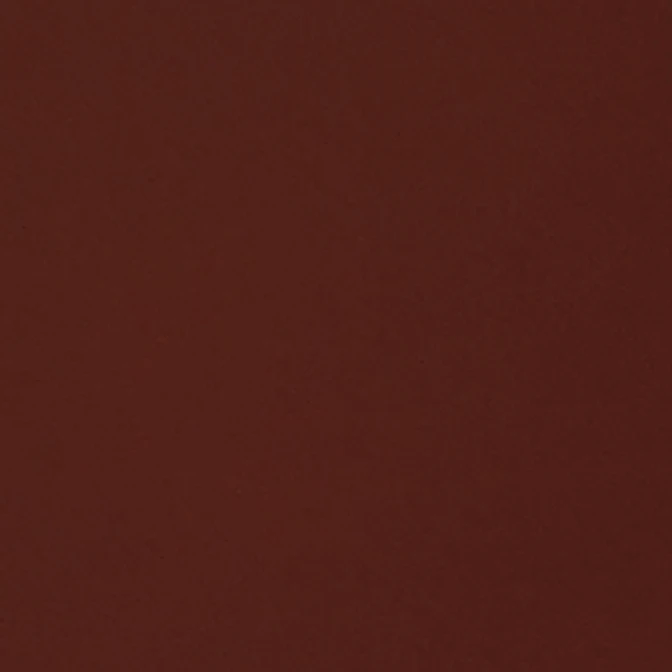 김여우