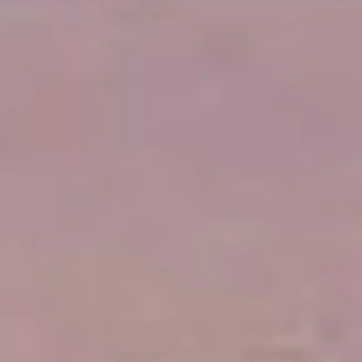 delphine의 현무 1팀