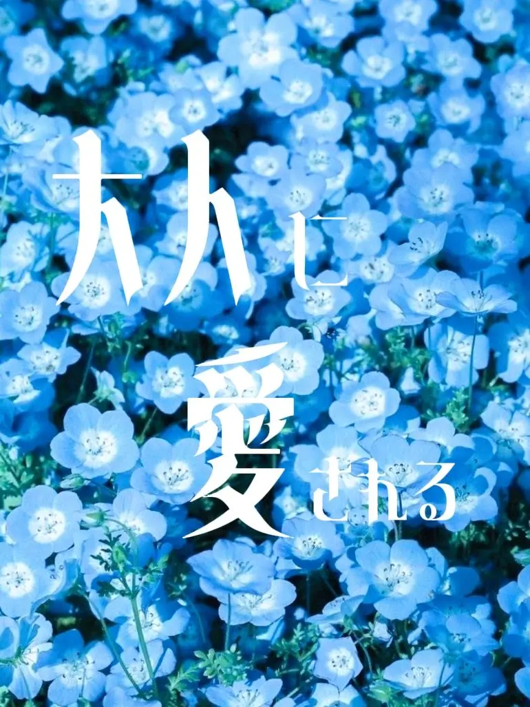 sukinakisetuhaharu의 "大人に愛される"