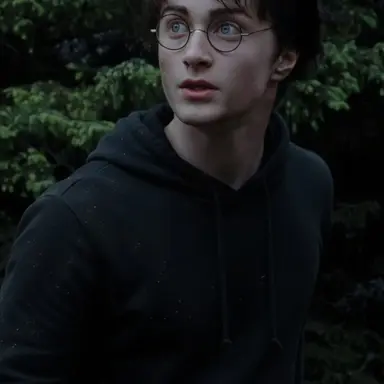 Profile image of Harry Potter