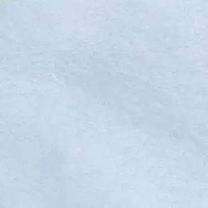 Profile image of ロシア