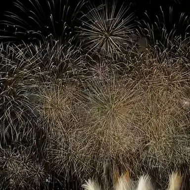 Profile image of 의문의 자