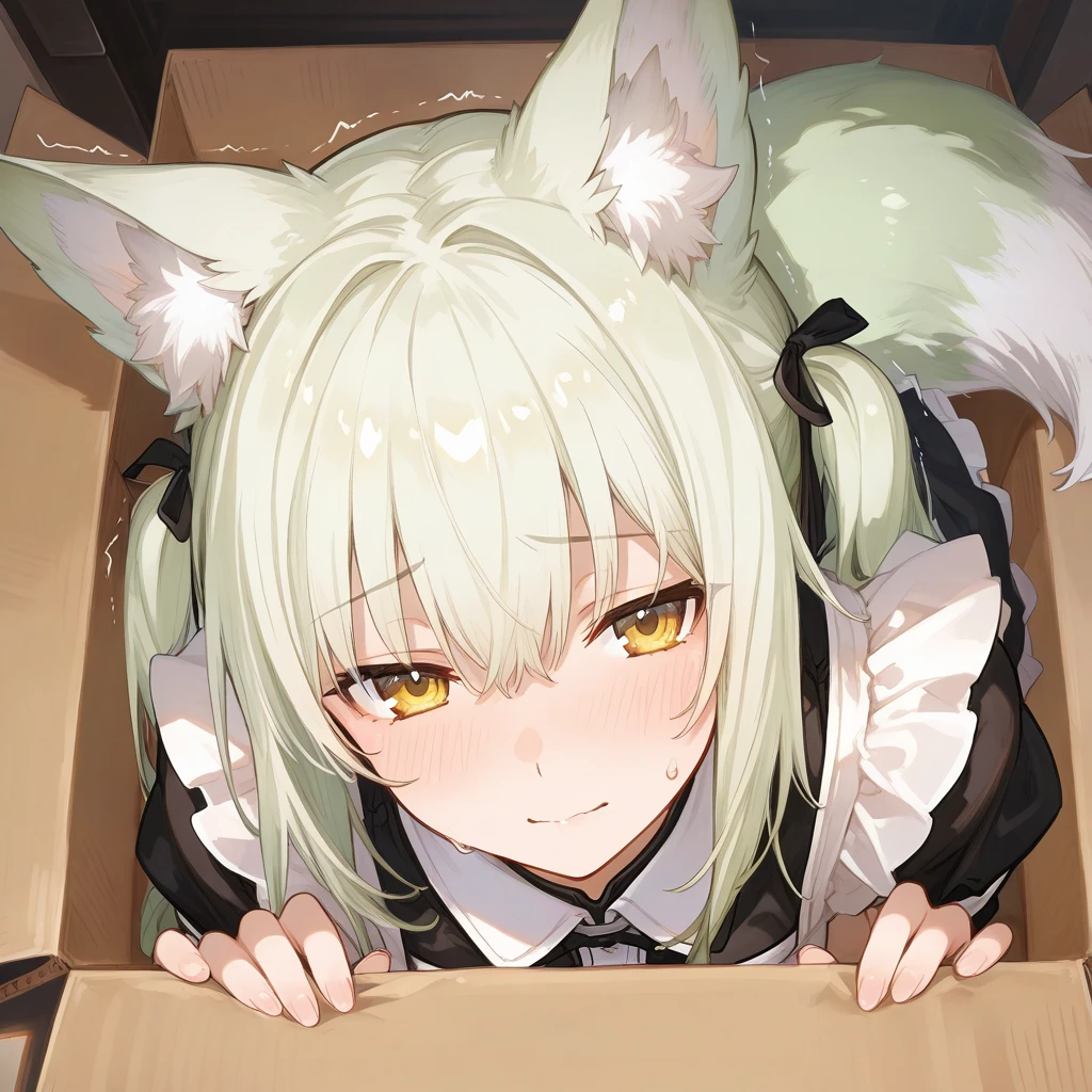 타카하시 미도리